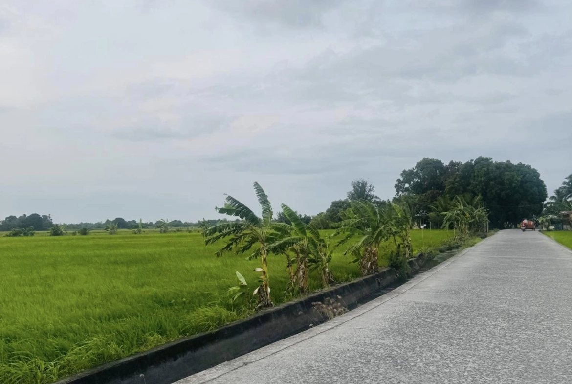 farmland for sale Naic, Affordable farm lot for sale in Cavite, Residential lot with clean title in Naic Cavite