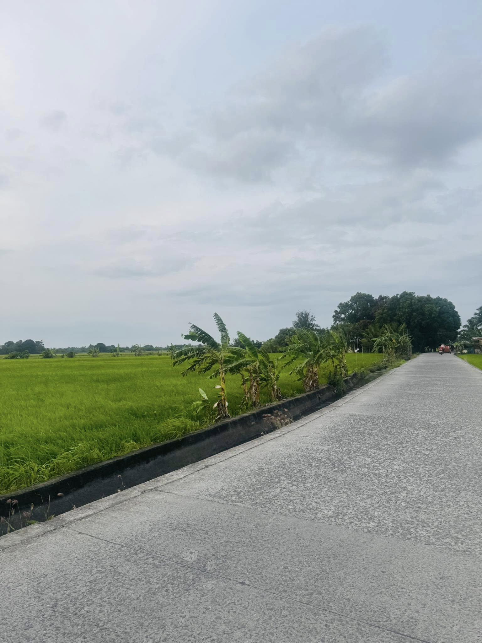 farmland for sale Naic, Affordable farm lot for sale in Cavite, Residential lot with clean title in Naic Cavite