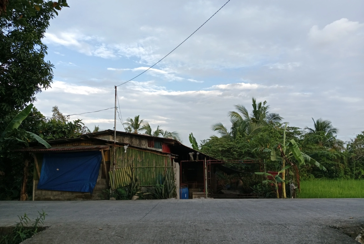 Residential farm lot for sale Cavite, farmland for sale Naic, corner lot for sale Cavite
