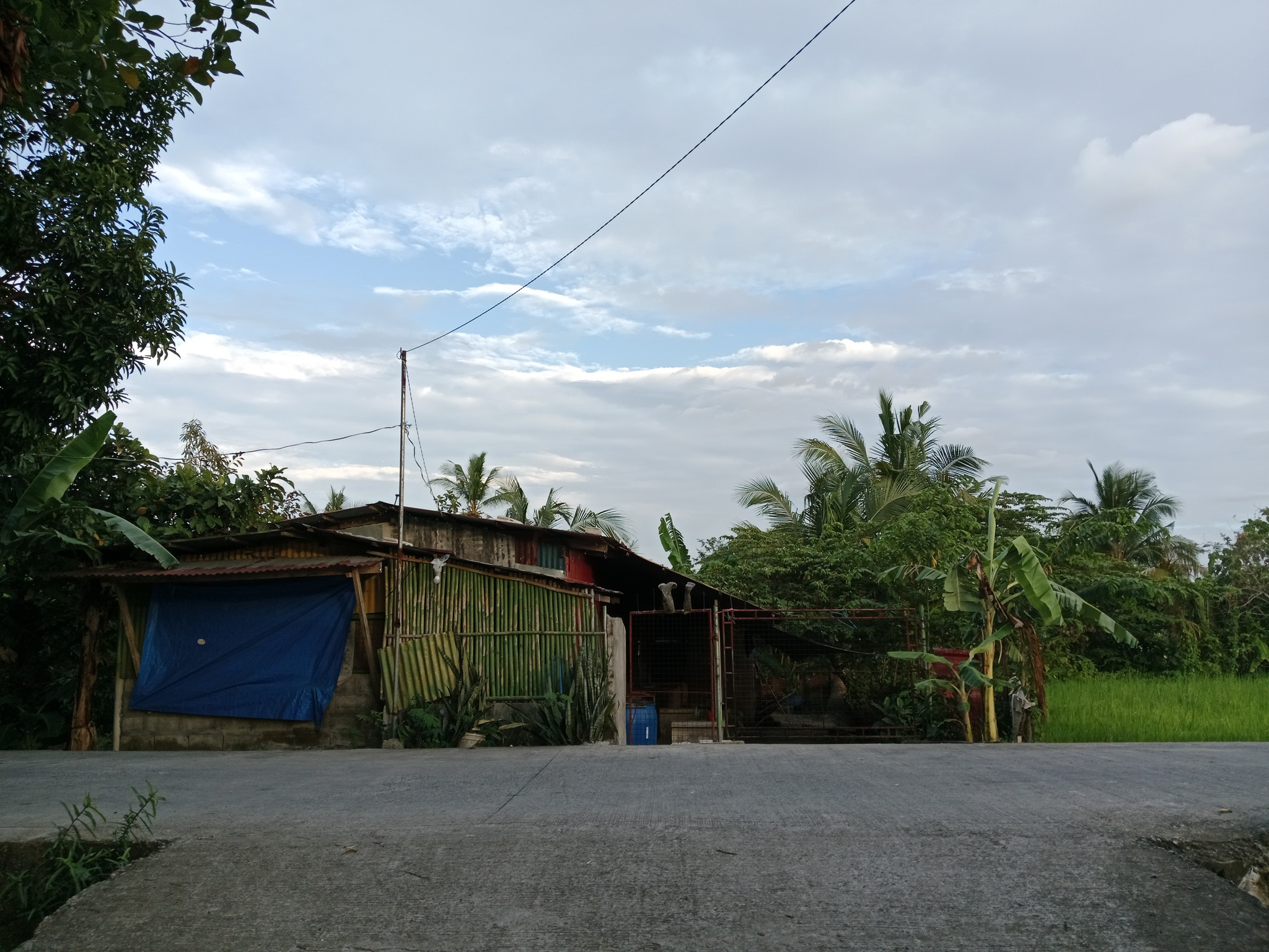 Residential farm lot for sale Cavite, farmland for sale Naic, corner lot for sale Cavite