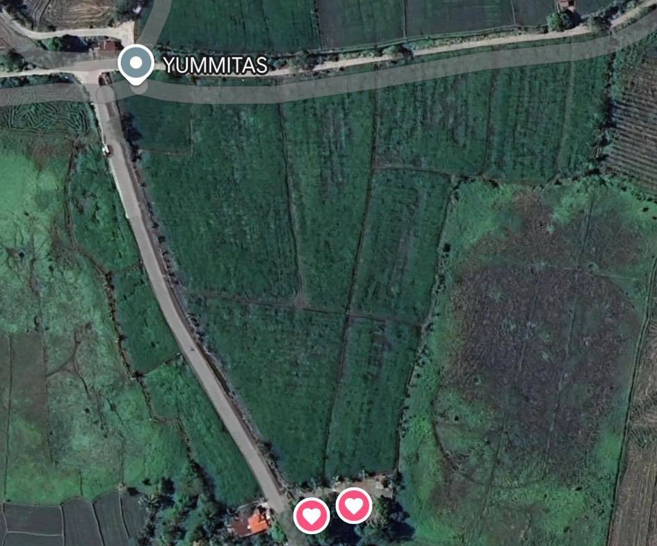 Residential lot with clean title in Naic Cavite, Spacious agricultural land for sale in Cavite, Residential farm lot for sale Cavite