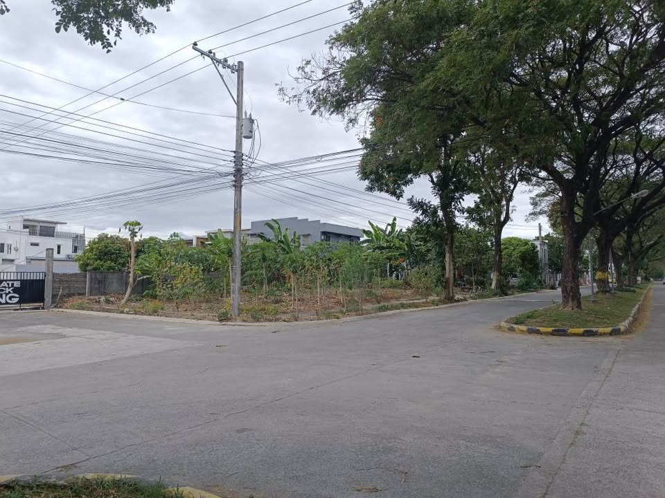 Millionaires Lane lot for sale, Affordable lot for sale in Millionaires Lane Angeles City Pampanga, Lot for sale in Savannah Green Plains Subdivision
